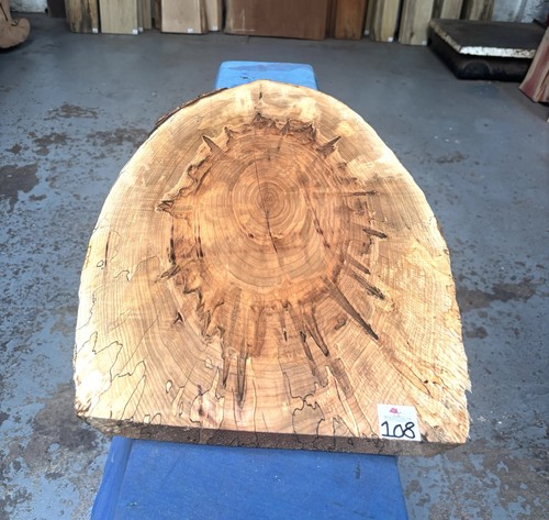 Ambrosia maple cookie oval - maple,