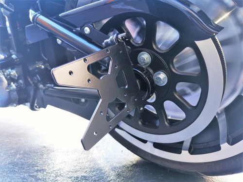 Side mount license plate