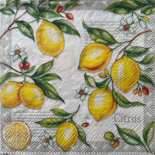 Cocktail paper napkins for - 2,