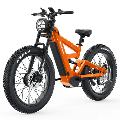 Tesway awd dual motor - tesway,