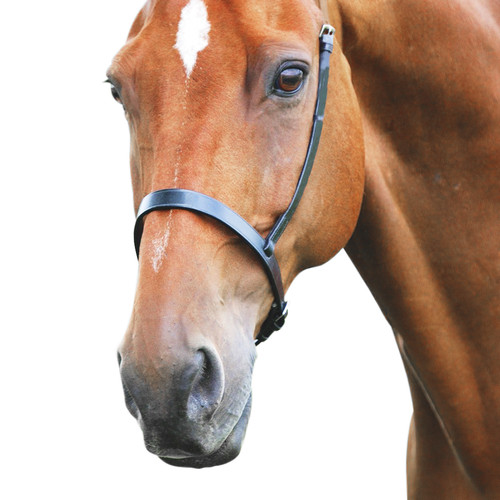 Shires velociti gara cavesson - shires,