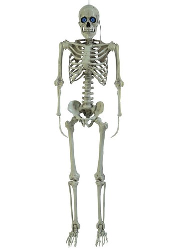 Halloween deluxe prop skeleton - deluxe,