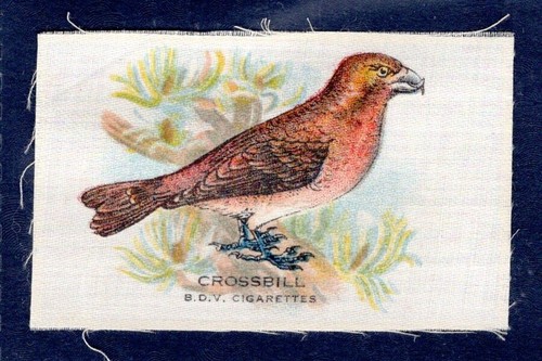 Phillips bdv silks birds - silks,