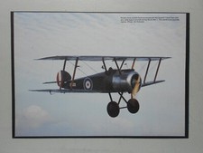 MILITARY AVIATION PRINT-