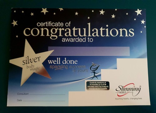 Slimming world silver body - silver,