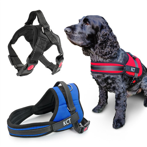 Kct pull padded dog - no, harness