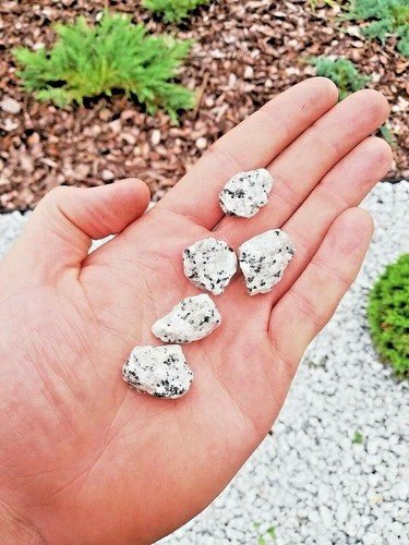 Garden flowerbed rockery patio - garden,