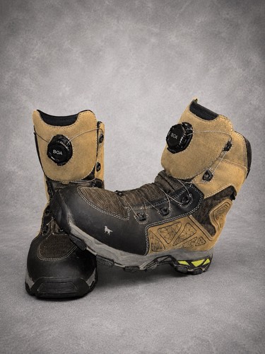 Irish setter ravine hunting - setter,