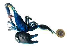 Action Figure Toy Scorpion