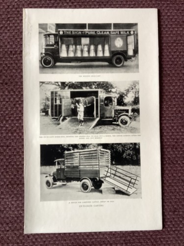 1928 print farming cattle - farming,,