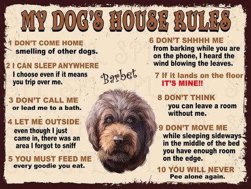 Barbet dog house rules - house,