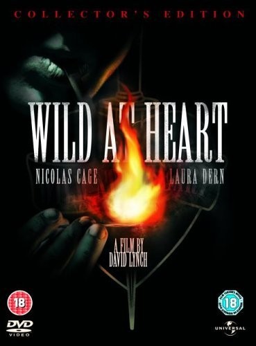 Wild heart dvd - at,