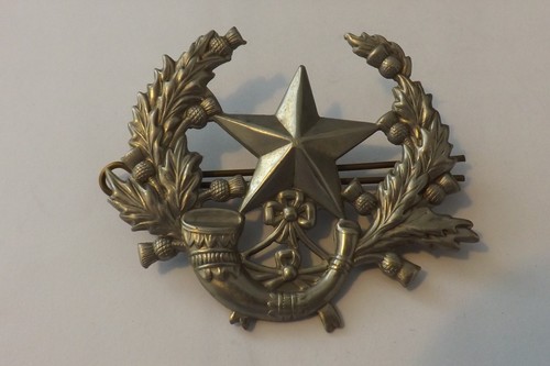Military badge cameronians - military,