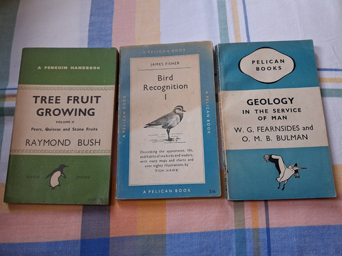Pelican penguin vintage - x,