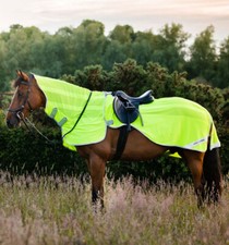 Horseware Amigo Flyrider