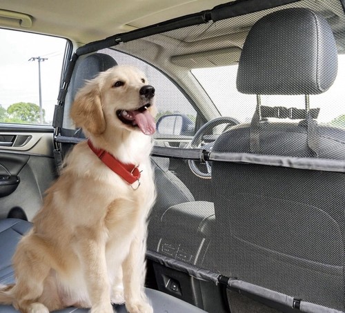 Snagle paw guard for cars - for,