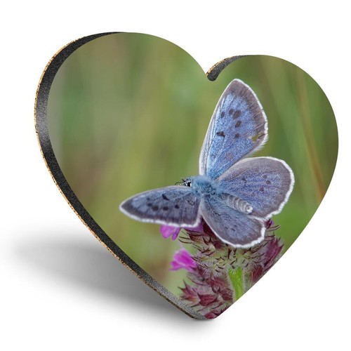 Heart mdf coaster the - mdf, large