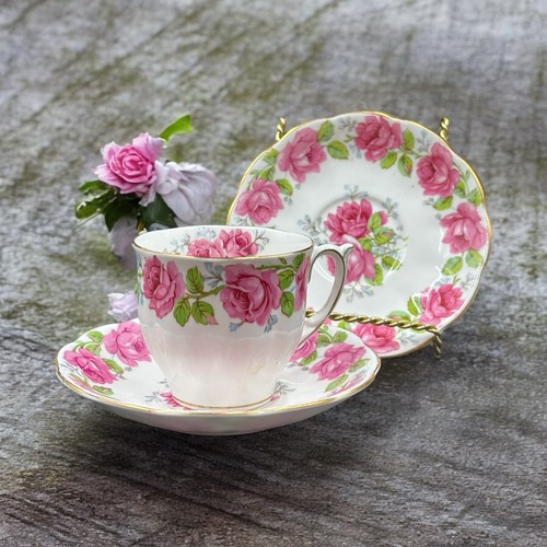 Queen ann lady alexander - lady, rose