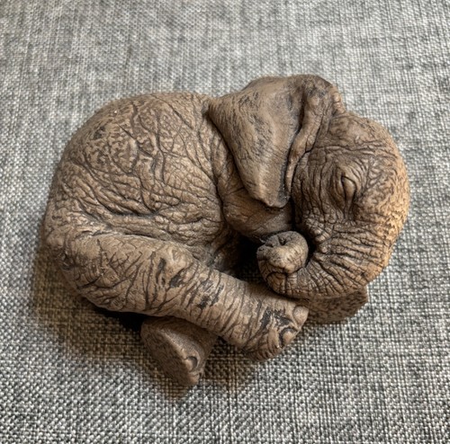 The herd winks elephant - the,