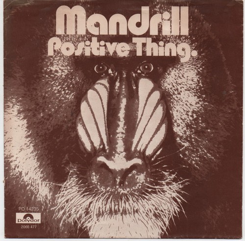 Mandrill positive thing 7 - thing, (7"