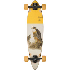 Globe Longboard Pintail 34
