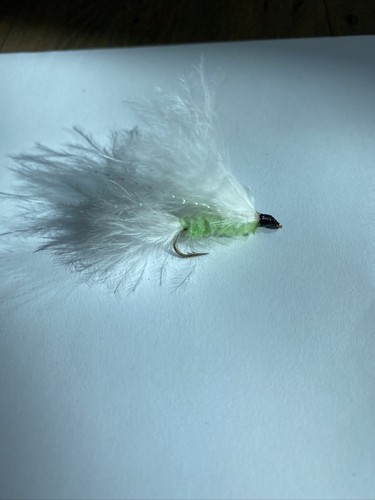 Cats whisker size 10 - x,