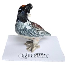 LITTLE CRITTERZ Gambel's Quail