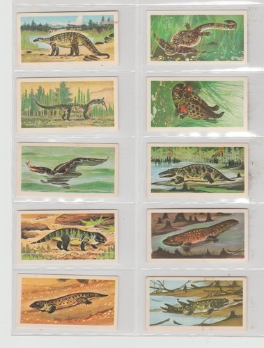 Brooke bond prehistoric - bond,