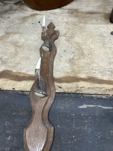 Antique horns plaque - antique, a