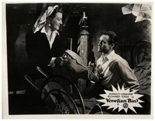 Venetian Bird Original Lobby