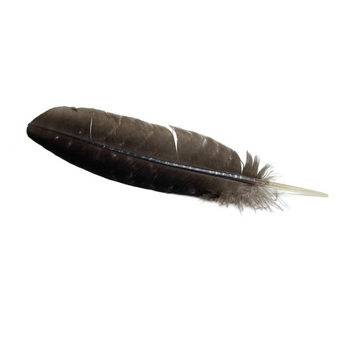 Imitation eagle feather - imitation,