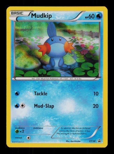 Pokemon card mudkip - pokemon,
