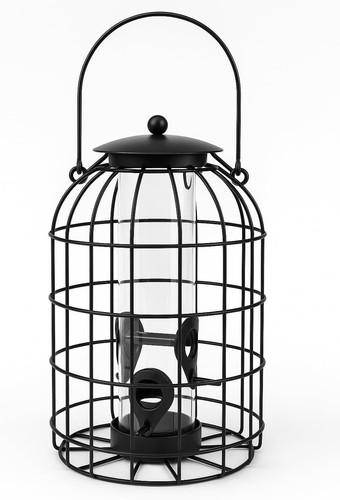 Large wild bird seed - wild, feeder