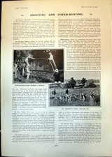 Old Otter Hunting Shooting Mr