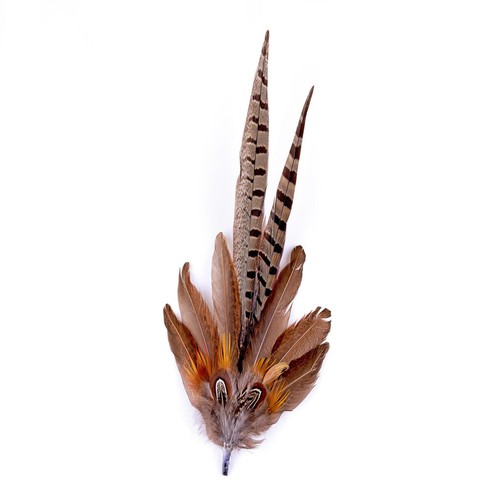 Pheasant feather mount 28cm - mount,