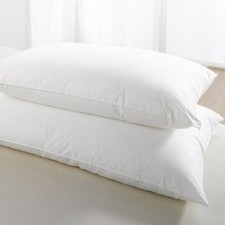 Egyptian Cotton Cover Pillows