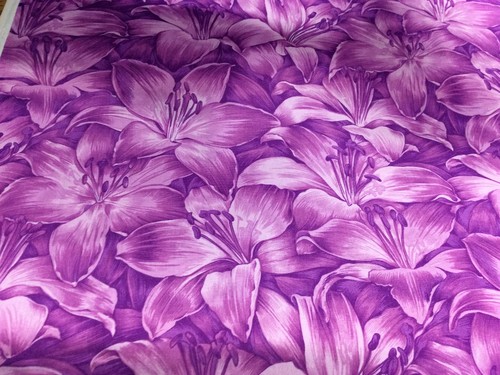 Fabric freedom f481 rainbow - fabric, freedom-f481-rainbow
