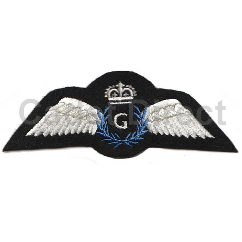 Raf reserve pilot gliding - pilot,