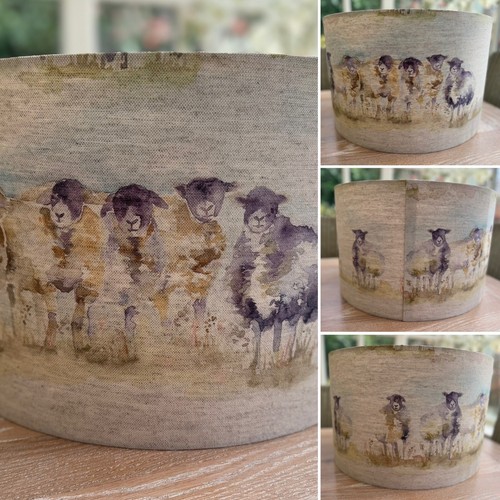 Sheep lambs lamp - sheep,