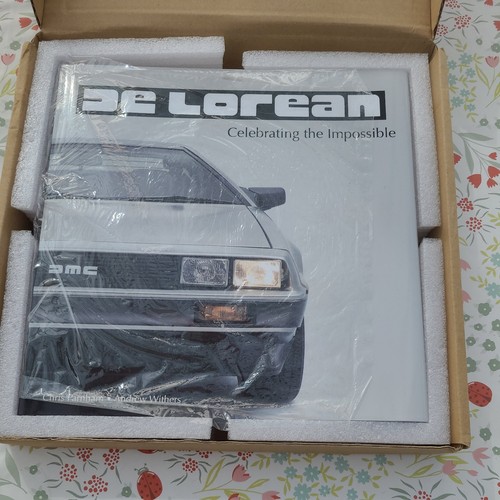 Delorean celebrating the - delorean,