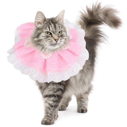 Bowknot pet saliva towels - (xs)bowknot,