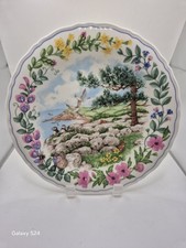Wedgwood collectors plate a