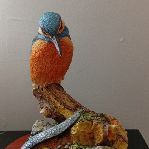 Border fine arts kingfisher - border,