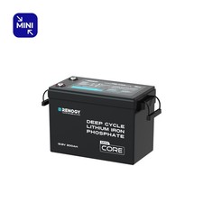 Renogy 200Ah 12V LiFePO4 Lithium Battery 5000+ Cycles BMS RV Marine and Off-grid