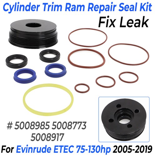 Cylinder trim piston repair - piston,