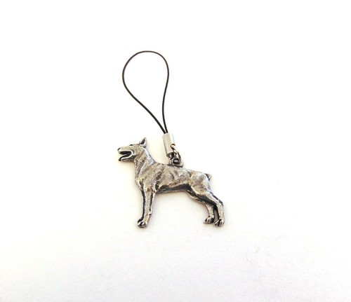 Doberman pinscher pewter - pinscher,