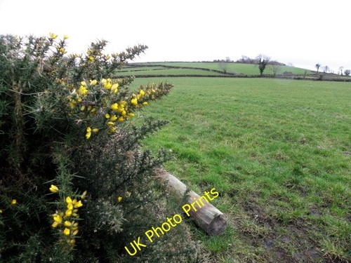 Photo 6x4 whins - 6x4, whins,