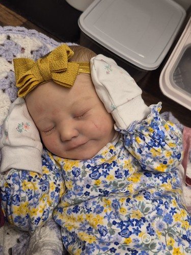 Cuddle reborn june randi - cuddle,