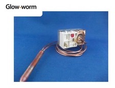 S230211 Glow Worm GLOWWORM