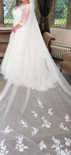 Beautiful cathedral veil - beautiful,